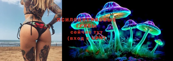 mix Алексин