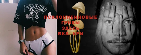 mix Алексин