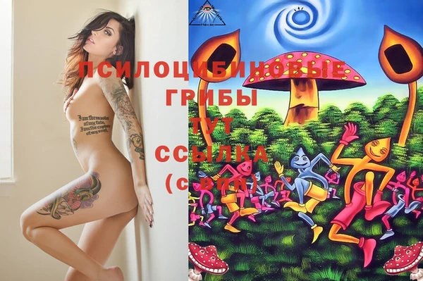 mix Алексин