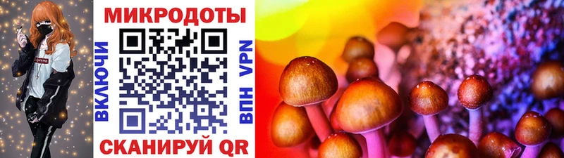 купить наркоту  Чапаевск  Галлюциногенные грибы мицелий 